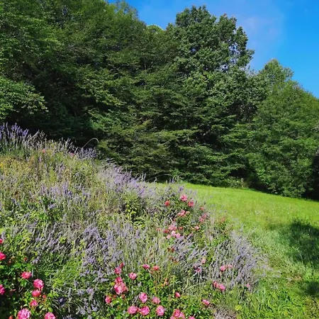 In Der Dordogne By Interhome Holiday home *